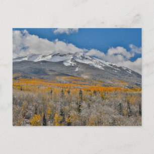 Herbstfarben   Rocky Mountains, Colorado Postkarte