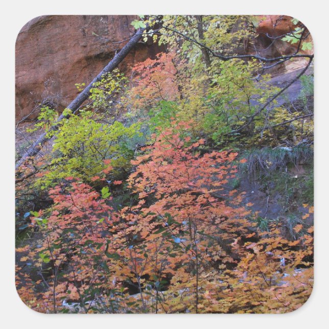Herbstfarben rund um quadratischer aufkleber (Vorderseite)