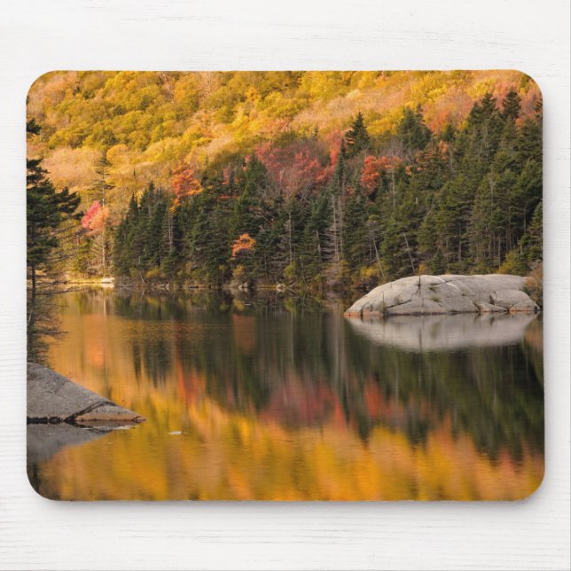 Herbstfarben spiegeln sich im Biberteich Mousepad (Vorne)