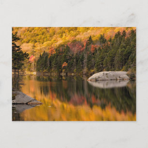 Herbstfarben spiegeln sich im Biberteich Postkarte