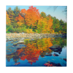 Herbstfarben spiegeln sich in einem Bach in Vermon Fliese