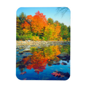 Herbstfarben spiegeln sich in einem Bach in Vermon Magnet