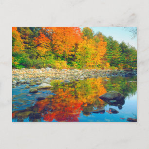 Herbstfarben spiegeln sich in einem Bach in Vermon Postkarte