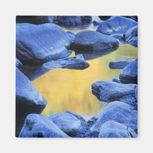 Herbstfarben spiegeln sich in einem Planschbecken, Magnet