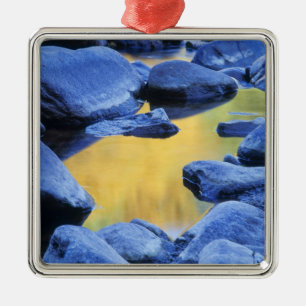Herbstfarben spiegeln sich in einem Planschbecken, Silbernes Ornament