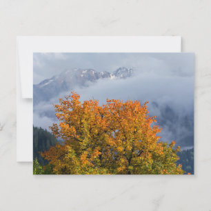 Herbstfarben und Berge Postkarte