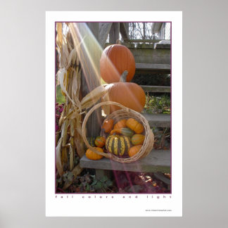 Herbstfarben und Licht Poster