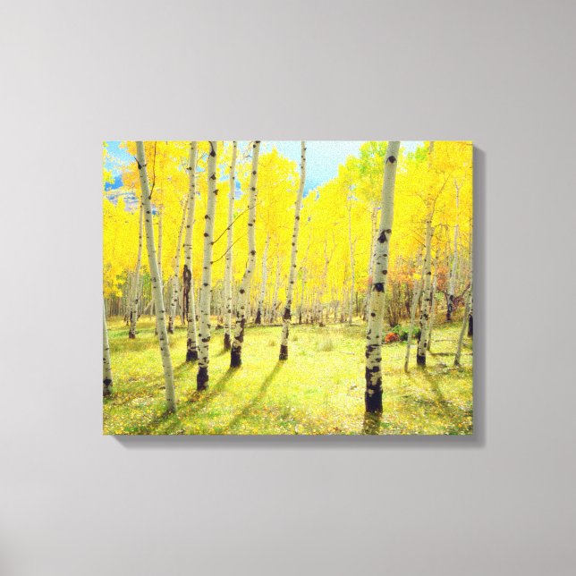 Herbstfarben von Aspen 4 Leinwanddruck (Vorderseite)