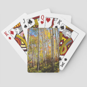 Herbstfarben von Aspen 5 Spielkarten