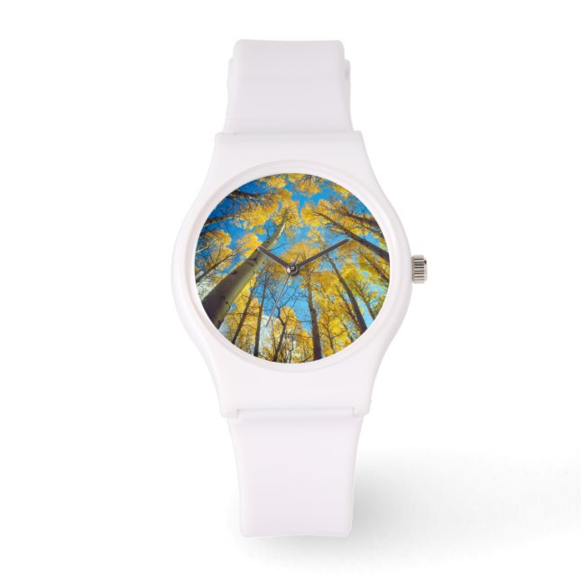 Herbstfarben von Aspen-Bäumen 2 Armbanduhr (Vorderseite)