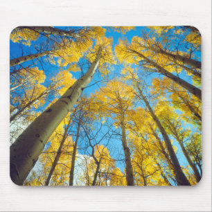Herbstfarben von Aspen-Bäumen 2 Mousepad