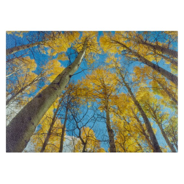 Herbstfarben von Aspen-Bäumen 2 Schneidebrett (Vorderseite)