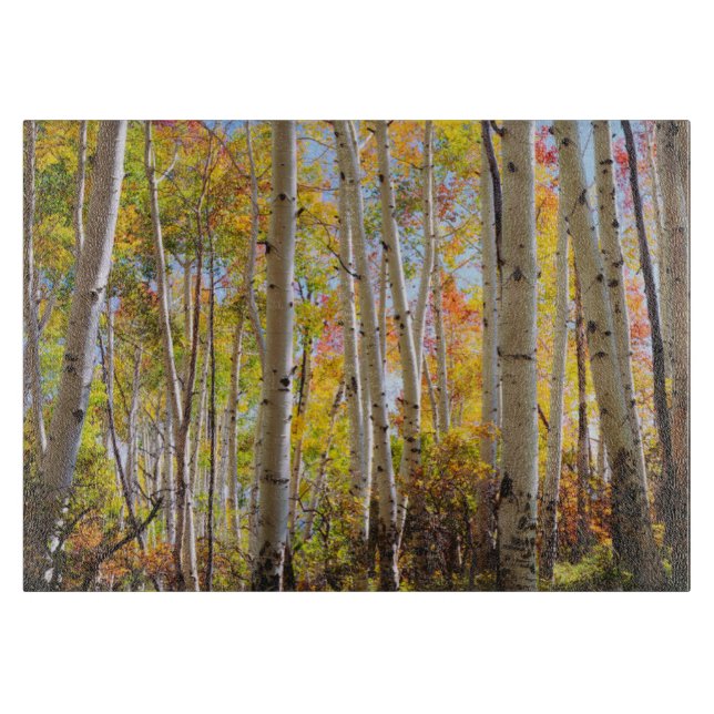 Herbstfarben von Aspen-Bäumen 5 Schneidebrett (Vorderseite)