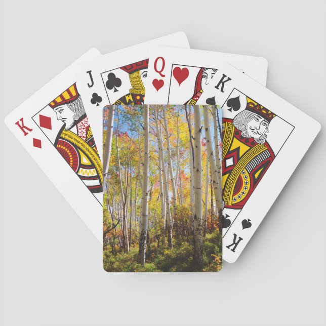 Herbstfarben von Aspen-Bäumen 5 Spielkarten (Rückseite)