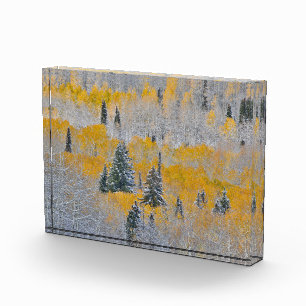 Herbstfarben von Aspens & Fresh Snow Keebler Pass Fotoblock