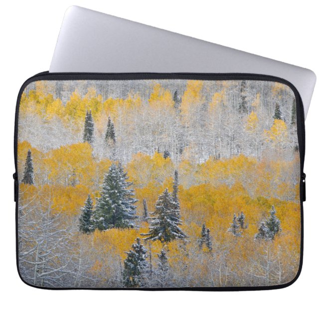 Herbstfarben von Aspens & Fresh Snow Keebler Pass Laptopschutzhülle (Vorderseite)