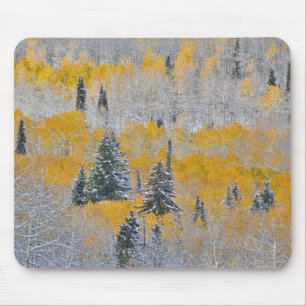 Herbstfarben von Aspens & Fresh Snow Keebler Pass Mousepad