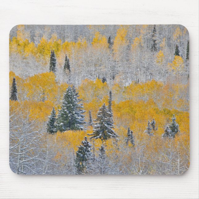 Herbstfarben von Aspens & Fresh Snow Keebler Pass Mousepad (Vorne)