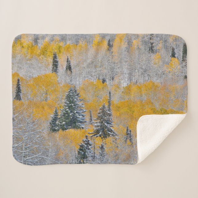 Herbstfarben von Aspens & Fresh Snow Keebler Pass Sherpadecke (Vorderseite (Horizontal))