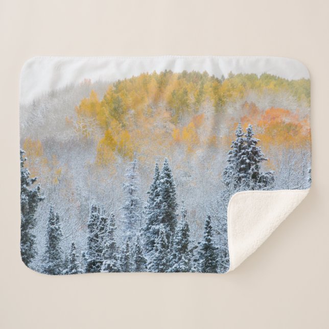Herbstfarben von Aspens & Fresh Snow Keebler Pass Sherpadecke (Vorderseite (Horizontal))
