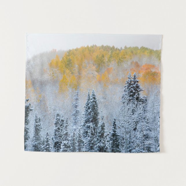 Herbstfarben von Aspens & Fresh Snow Keebler Pass Wandteppich (Vorderseite (Horizontal))