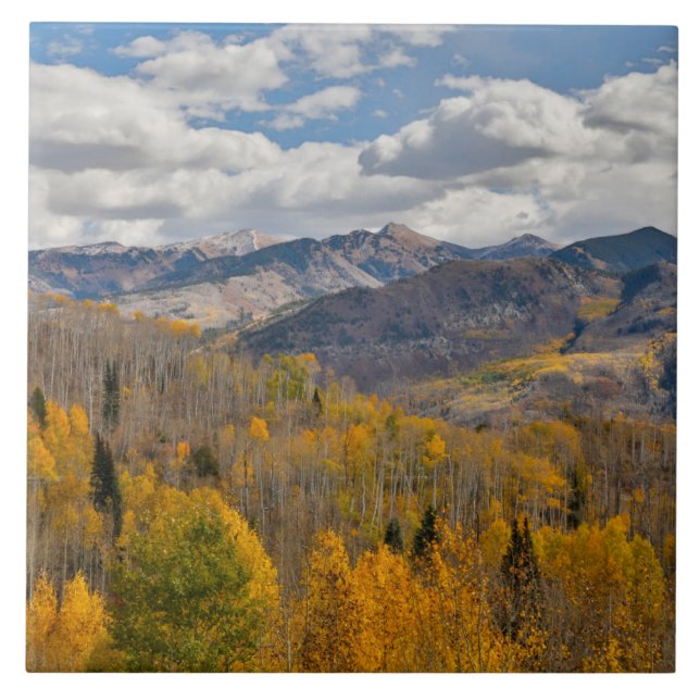 Herbstfarben von Aspens & Oaks Keebler Pass Fliese (Vorderseite)