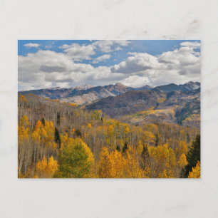 Herbstfarben von Aspens & Oaks Keebler Pass Postkarte