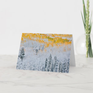 Herbstfarben von Aspens Rocky Mountains, Colorad Karte