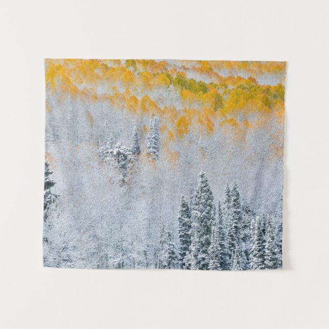 Herbstfarben von Aspens | Rocky Mountains, Colorad Wandteppich (Vorderseite (Horizontal))