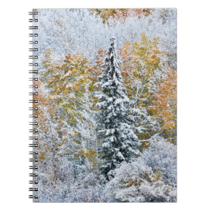 Herbstfarben von Aspens & Snow Keebler Pass Notizblock