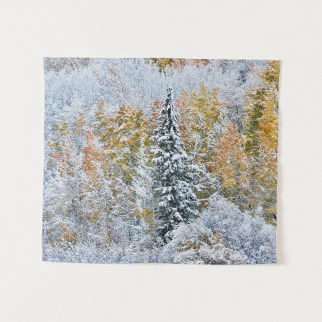 Herbstfarben von Aspens & Snow Keebler Pass Wandteppich (Vorderseite (Horizontal))