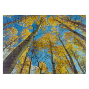 Herbstfarben von Espen 2 Schneidebrett