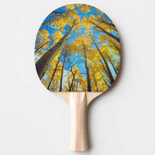 Herbstfarben von Espen 2 Tischtennis Schläger