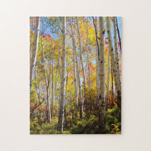 Herbstfarben von Espen 5