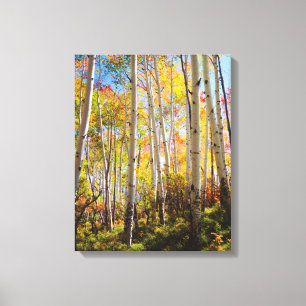 Herbstfarben von Espen 5 Leinwanddruck