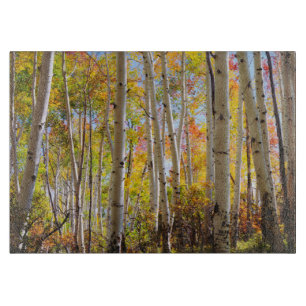 Herbstfarben von Espen 5 Schneidebrett