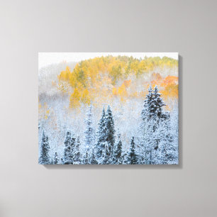 Herbstfarben von Espen & frischer Schnee Keebler P Leinwanddruck