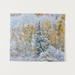 Herbstfarben von Espen & Schnee Keebler Pass Wandteppich