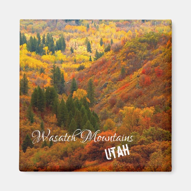 Herbstfarben, Wasatch-Gebirge, Nordutah-Magn Magnet (Vorne)