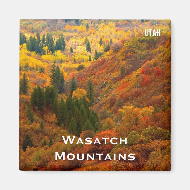 Herbstfarben, Wasatch-Gebirge, Nordutah Magnet (Vorne)