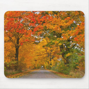 Herbstfarbene Bäume Mousepad