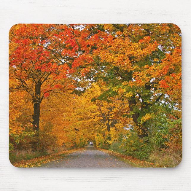 Herbstfarbene Bäume Mousepad (Vorne)