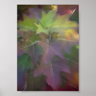 Herbstfarbener Eichenholz Hydrangea Poster