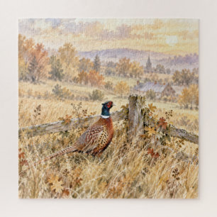 Herbstfasan im ländlichen Feld