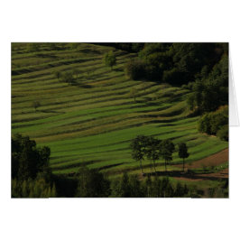 Herbstfelder, Prem, Slowenien