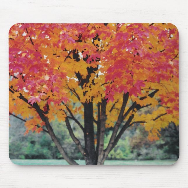 Herbstfeuer Mousepad (Vorne)