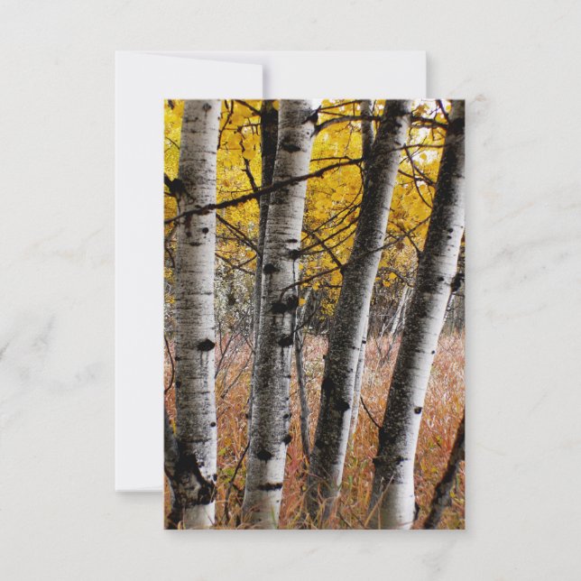Herbstflächen - leere Notizkarte RSVP Karte (Vorderseite)