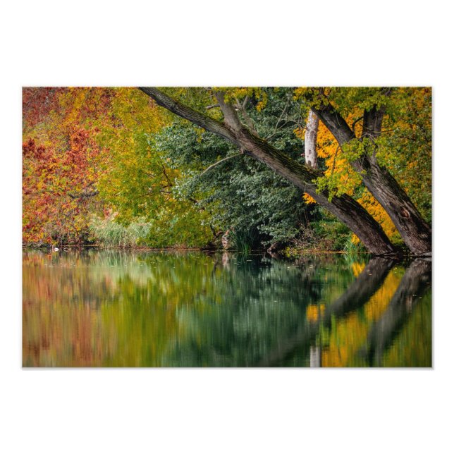 Herbstfluss Fotodruck (Vorne)