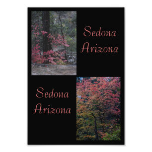 Herbstfoliage Sedona, Arizona Fotodruck