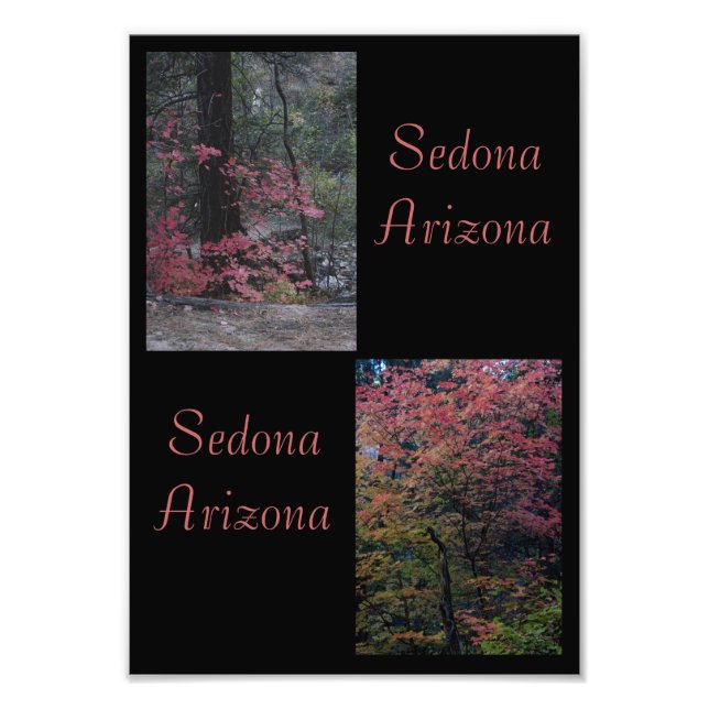 Herbstfoliage Sedona, Arizona Fotodruck (Vorne)